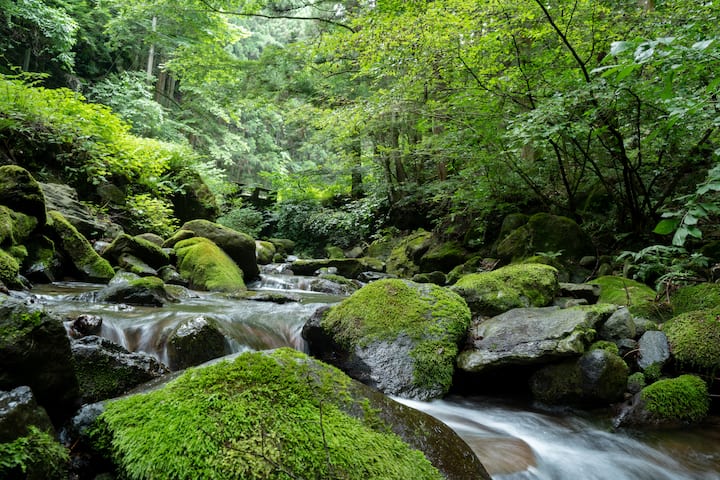 追加写真の写真7