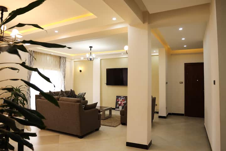 Spacious Entire Bolebulbulla Apt 3 Br & 3.5 Bath - Addis Ababa