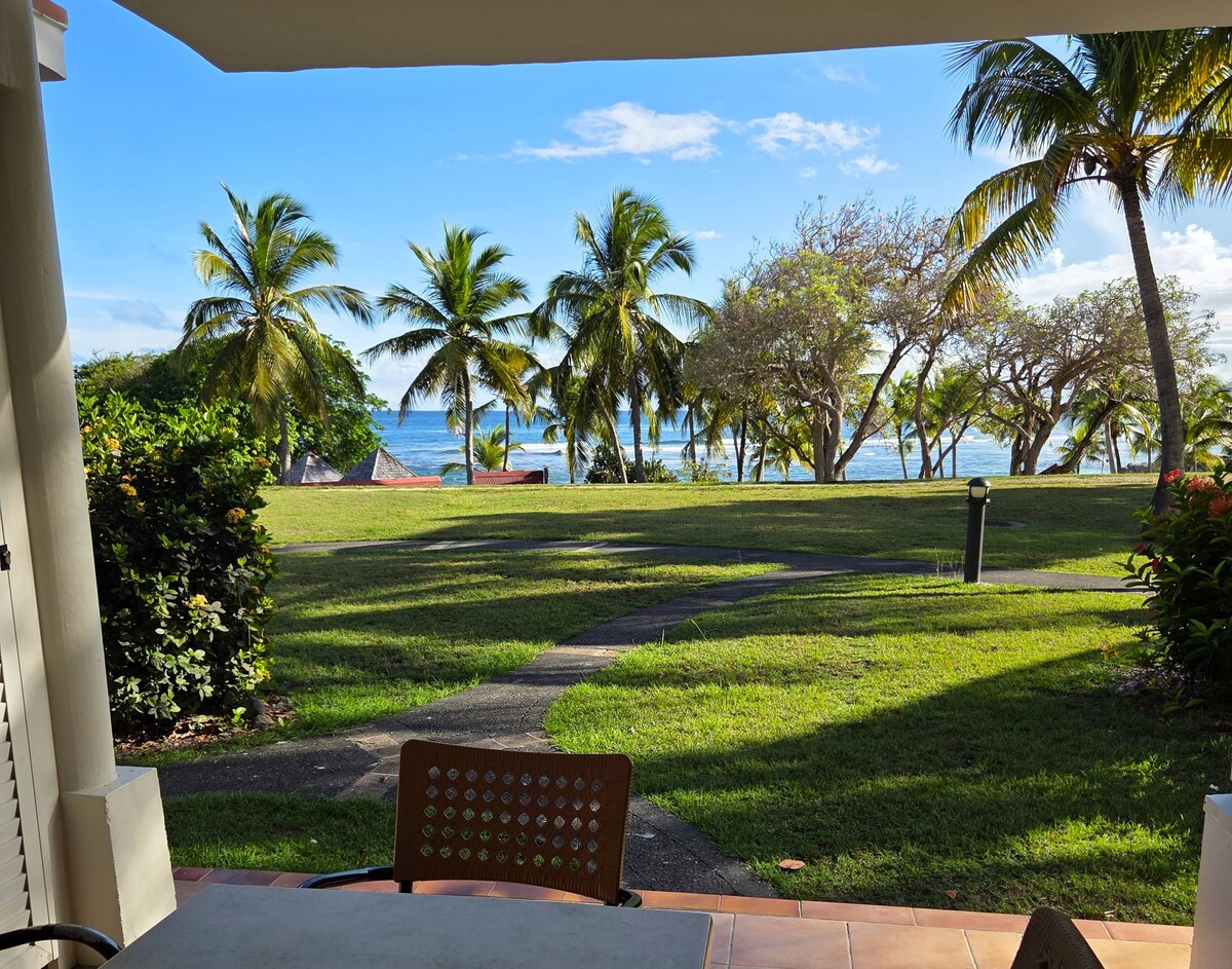 A serene view from the terrace is offered, showcasing lush greenery and swaying palm trees. The calm blue sea is visible in the distance, while a pathway leads through the landscape, inviting relaxation and outdoor enjoyment.