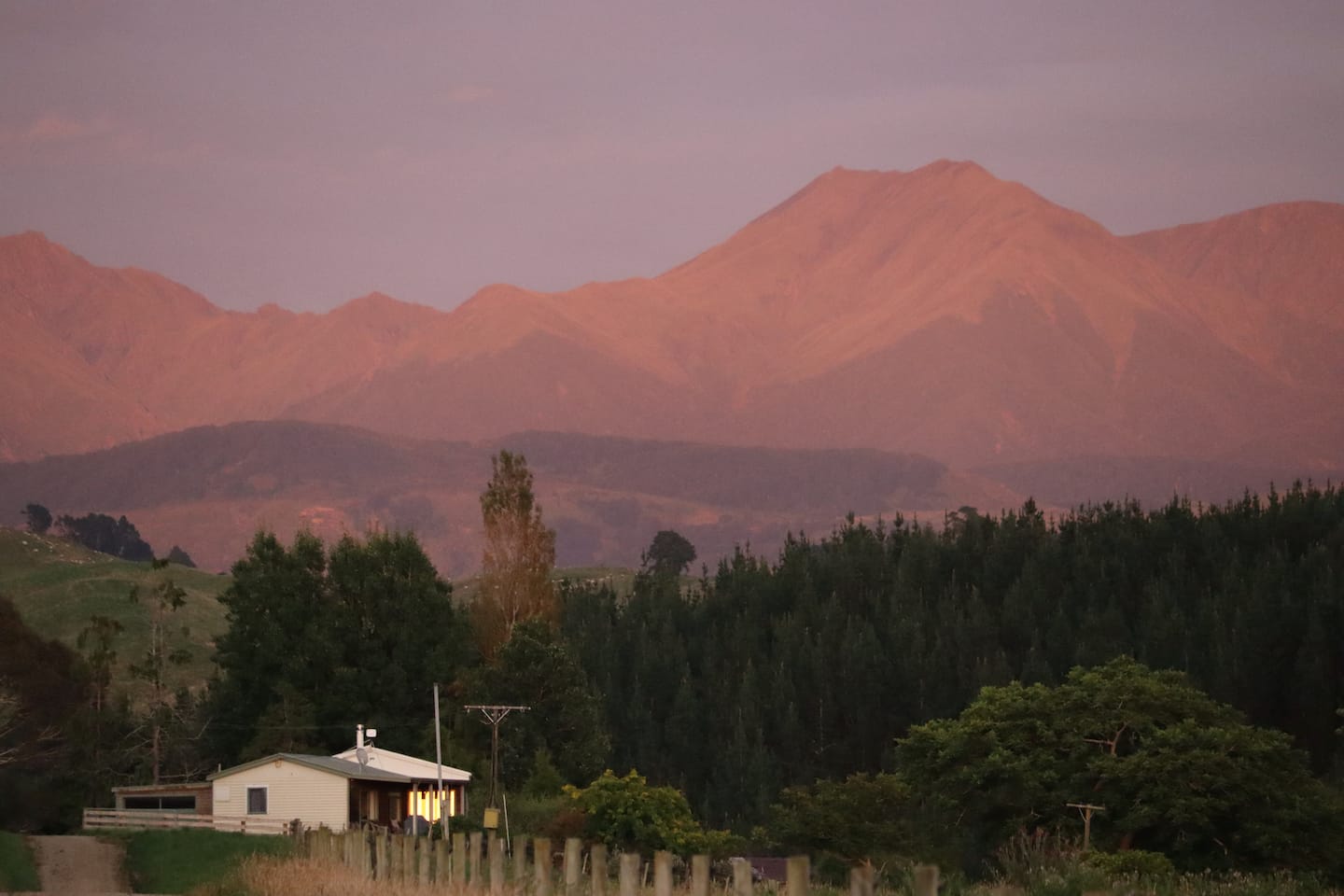 Redwood Cottage 2