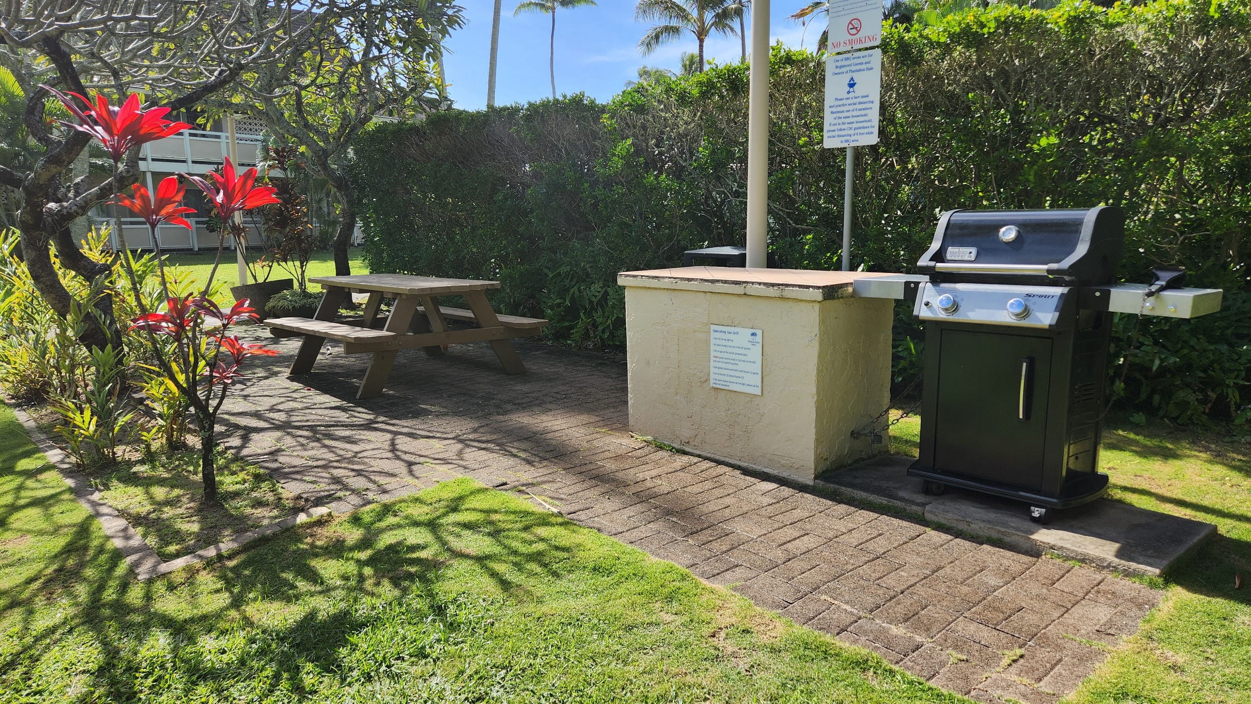 Renovated 1BR Coconut Coast Getaway w/ A/C - Photo 38