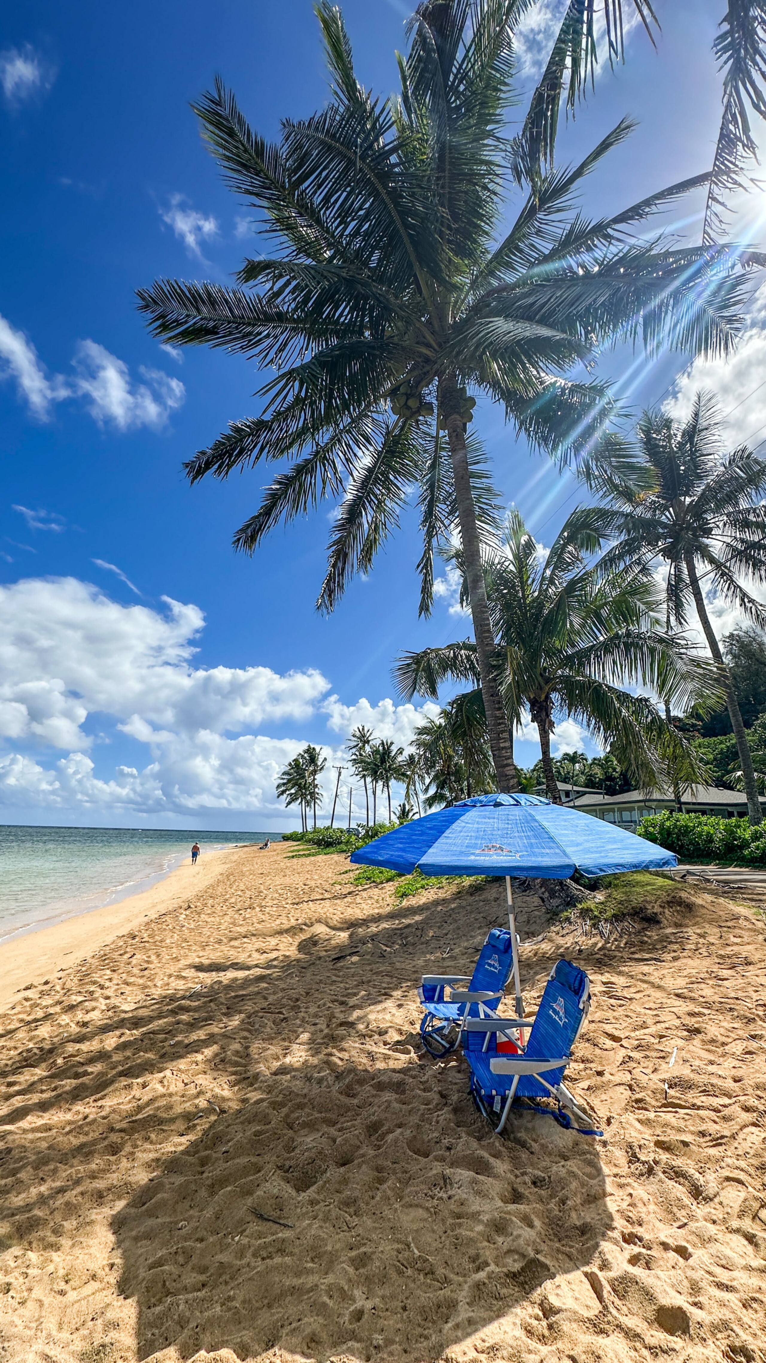 Renovated 1BR Coconut Coast Getaway w/ A/C - Photo 69