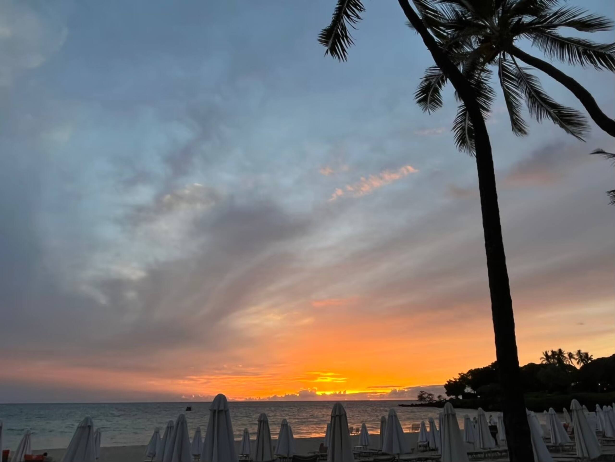 Private1BR in Waikiki! In front of harbor! - Image 61