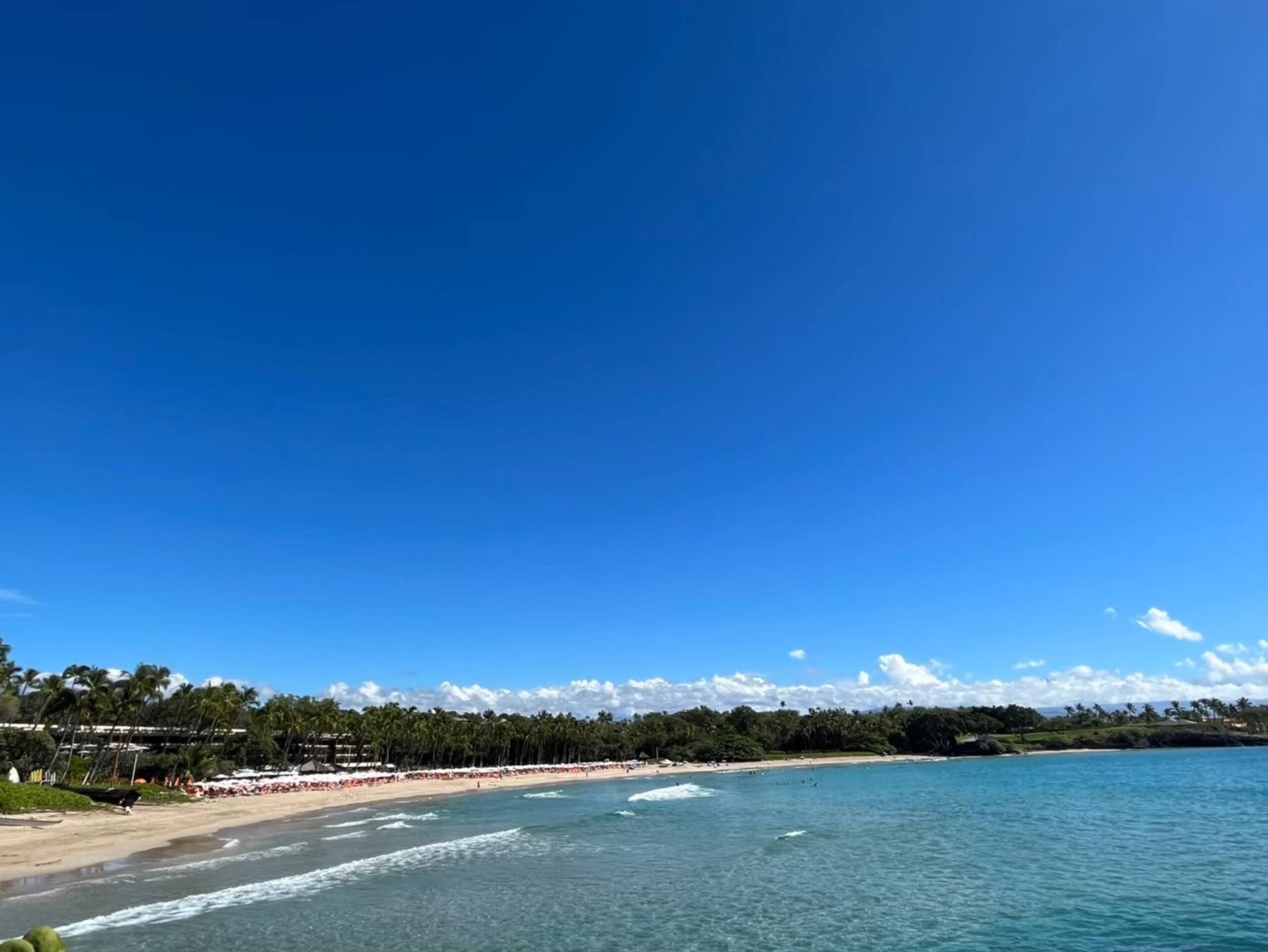 Private1BR in Waikiki! In front of harbor! - Image 60