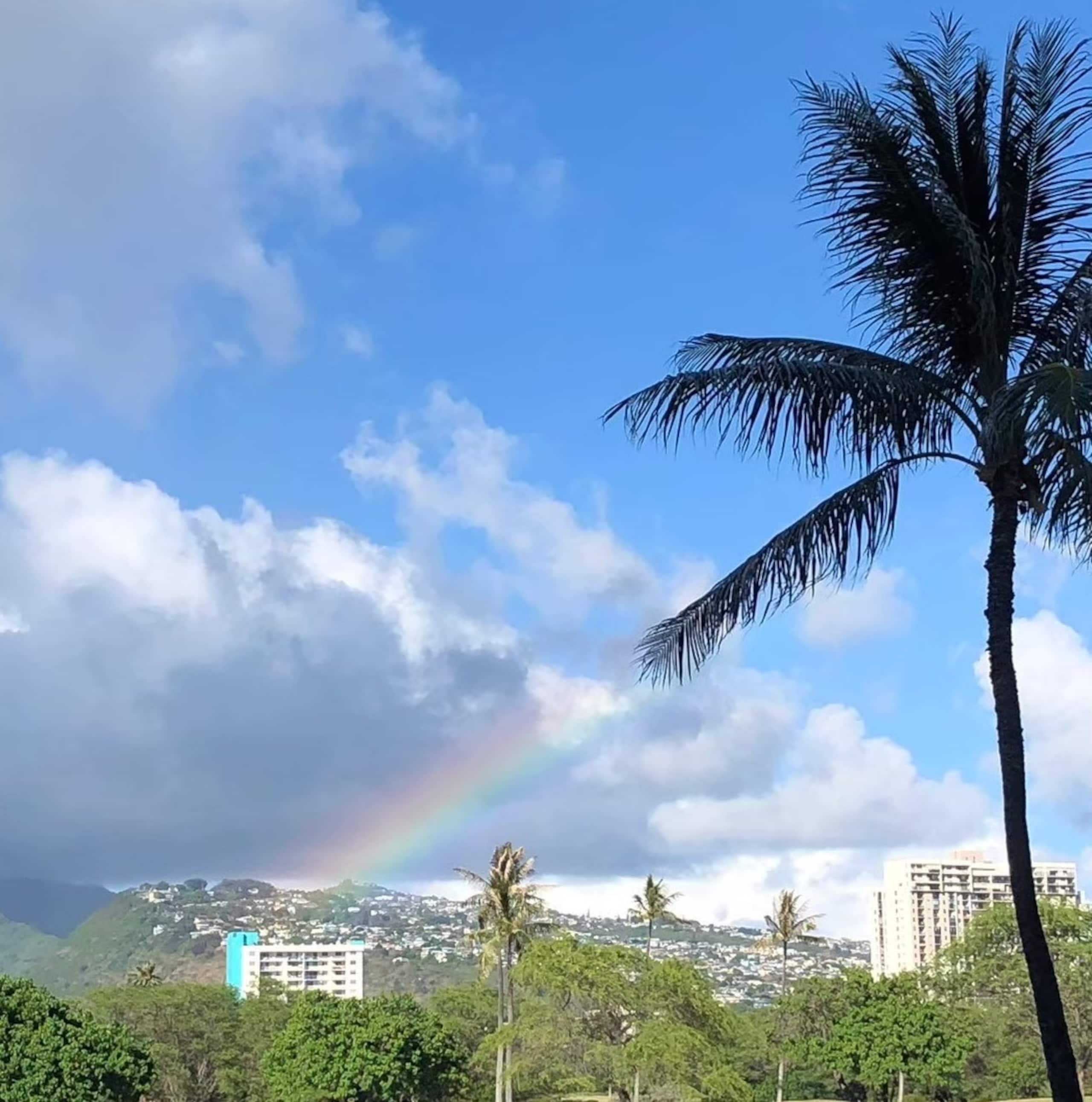 #Great Harbor View@Waikiki! with 2beds & sofa bed - Image 57