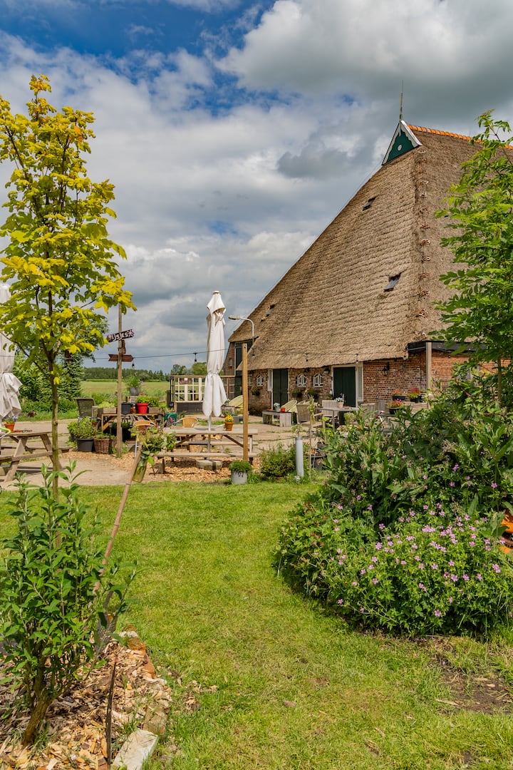 Anne-famke's Pleats Twa (2) - Friesland