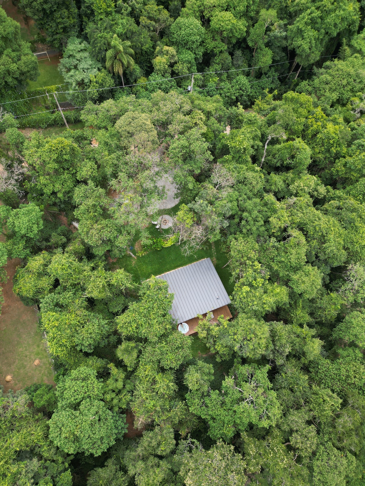An aerial view captures a cozy chalet nestled among lush tree canopies, blending harmoniously with the vibrant green surroundings. Dense foliage envelops the structure, creating a serene natural environment. The layout of the property reveals a spacious outdoor area, enhancing the sense of privacy and tranquility.