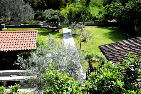 Il Pomegranate: Tourist Accommodation