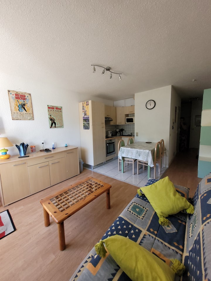 Appartement Lumineux Avec Vue Panoramique - Chambon-sur-Lac