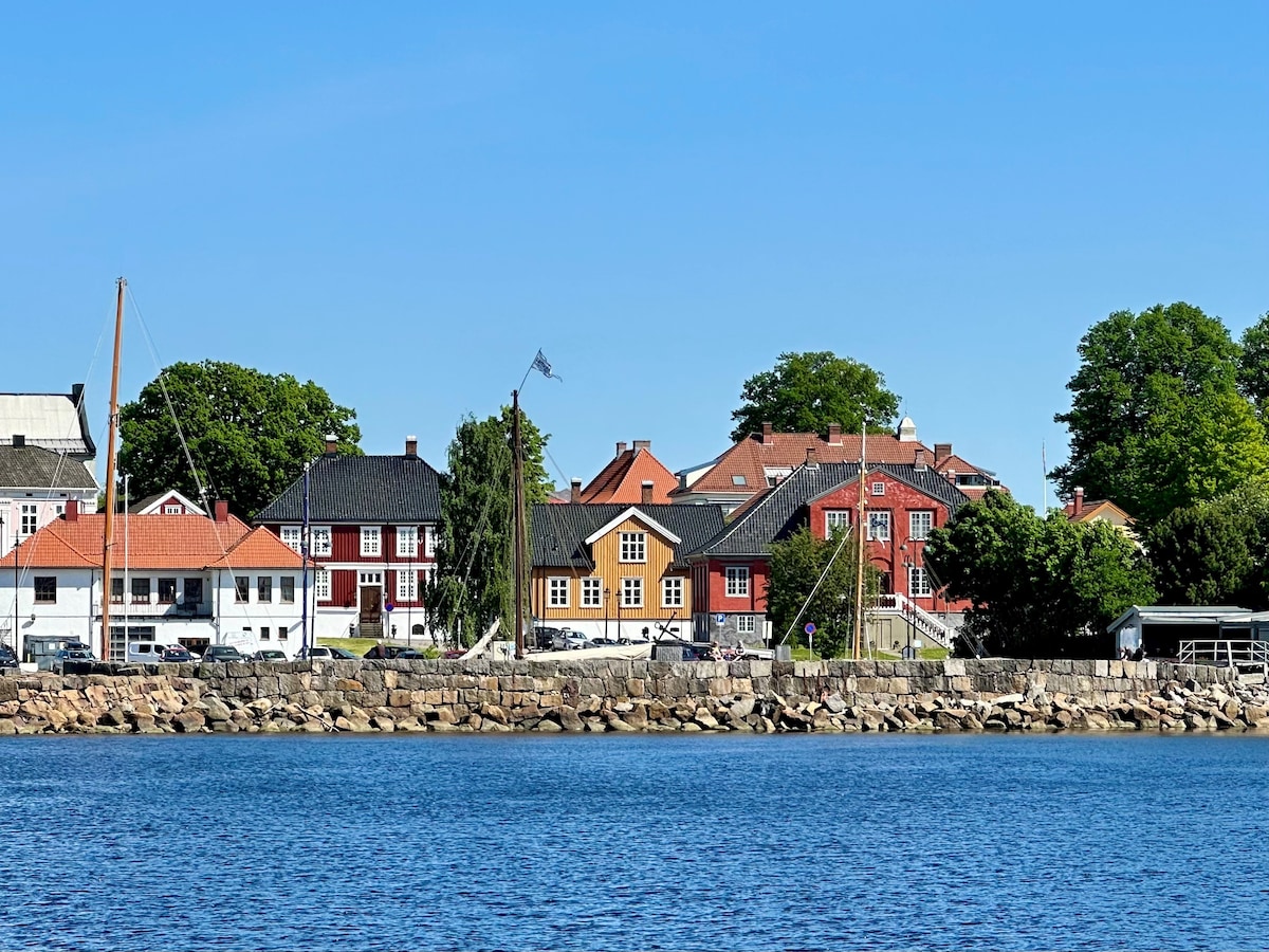 A waterfront view showcases a row of colorful houses, featuring red, yellow, and black facades. The scene is framed by lush greenery and a clear blue sky, with a smooth rocky shoreline in the foreground. Several sailboats are visible in the distance.