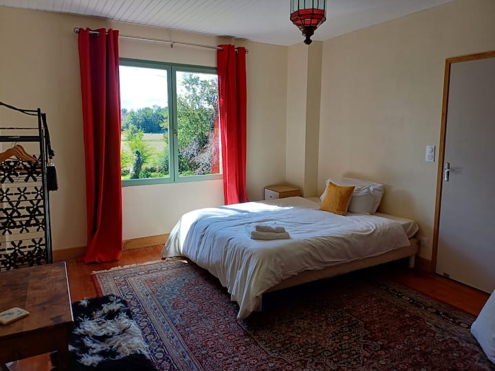 Habitación 5