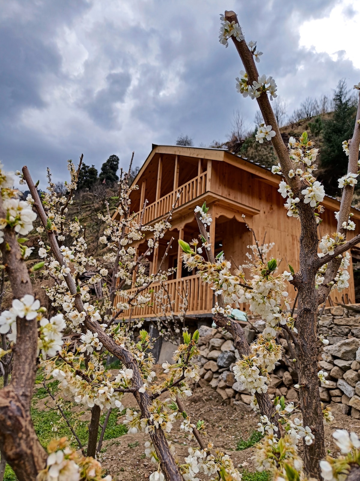 A wooden house with a two-level design is framed by blooming fruit trees. The structure features a spacious balcony adorned with wooden railings, while the surrounding landscape includes rocky terrain and green grass.