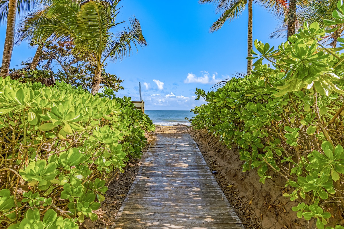 A wooden pathway meanders through lush greenery, leading to a sandy beach. Tropical palm trees frame the path, and the tranquil ocean can be seen in the distance under a clear blue sky dotted with soft clouds.