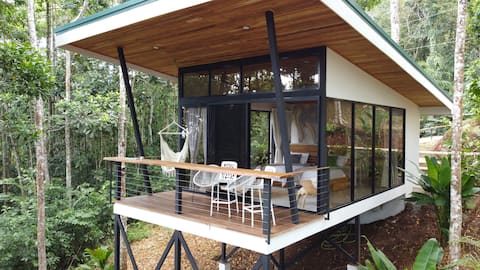 Jungle view not far from La Fortuna