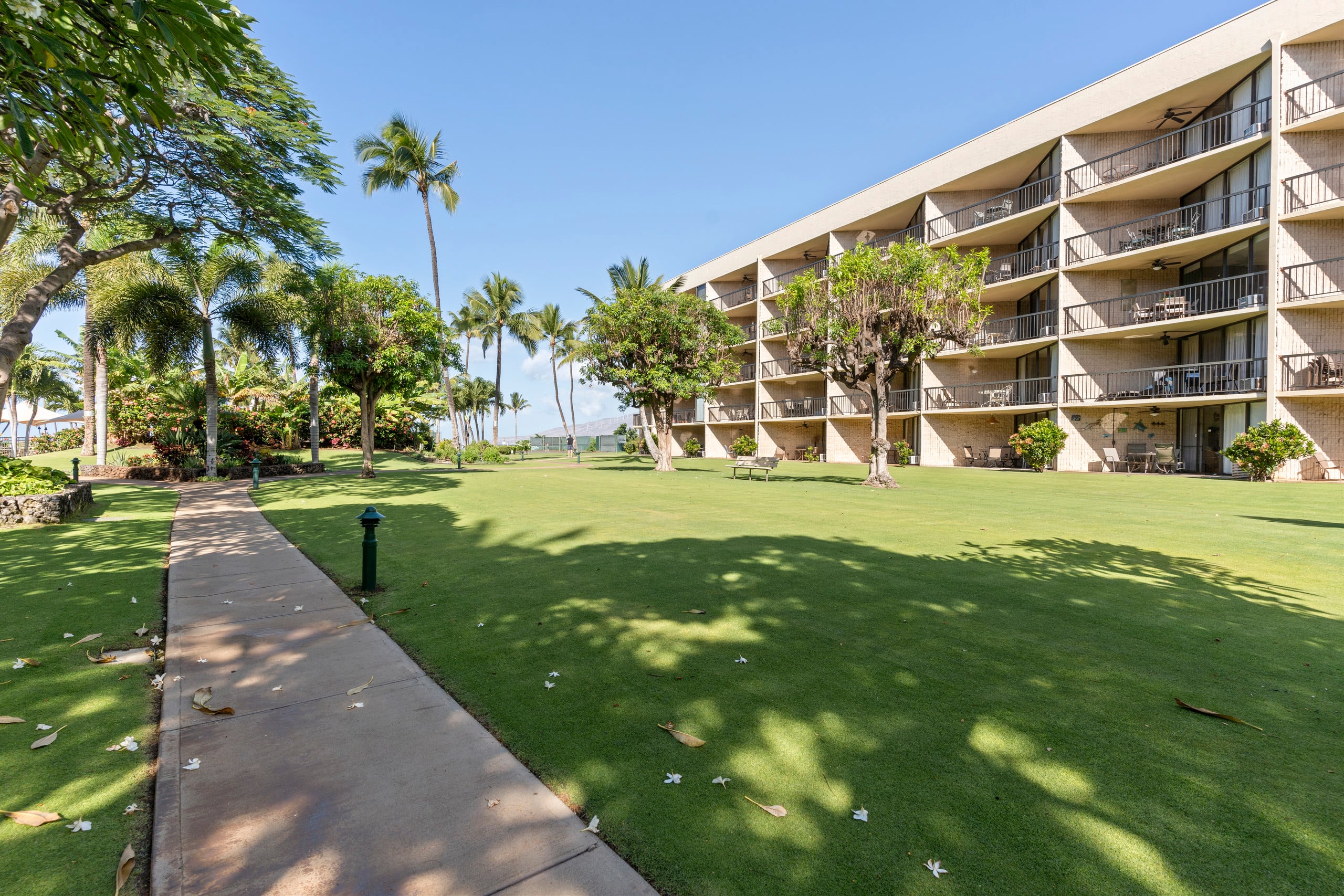 Beautifully remodeled beach front condo - Image 28