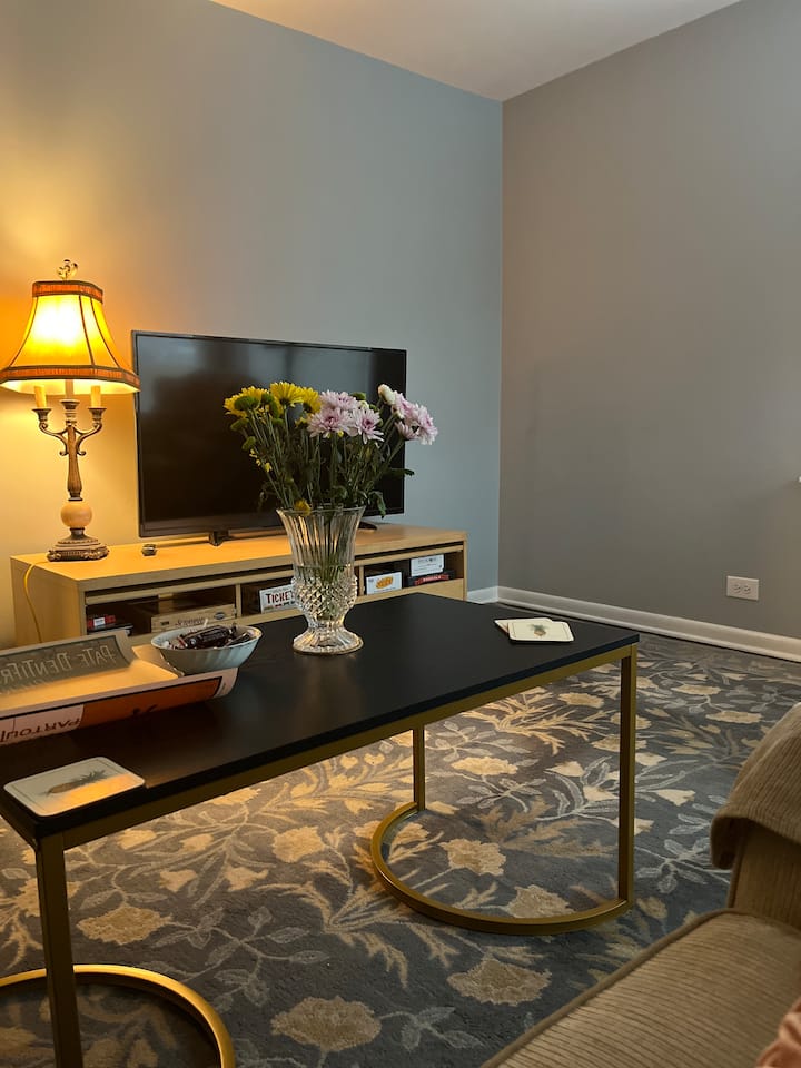Immaculate Bedroom Close To Argonne Labs - Oak Brook, IL
