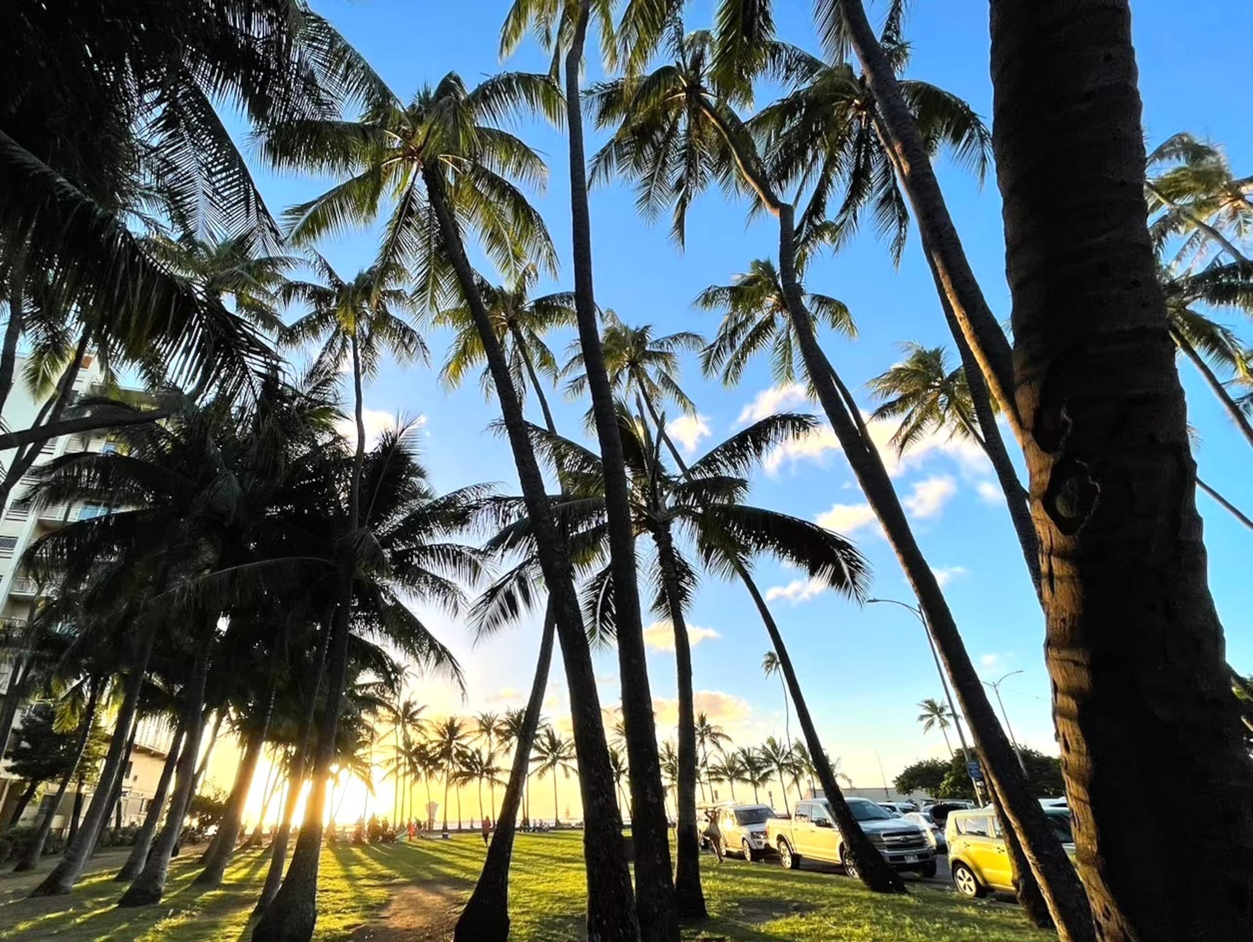 Condo in Honolulu · ★4.77 · 1 bedroom · 2 beds · 1 private bath - Image 45