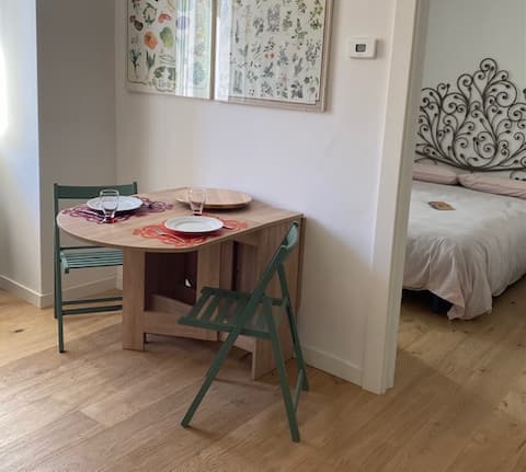 Top performing Airbnb: the two frogs in Lecco