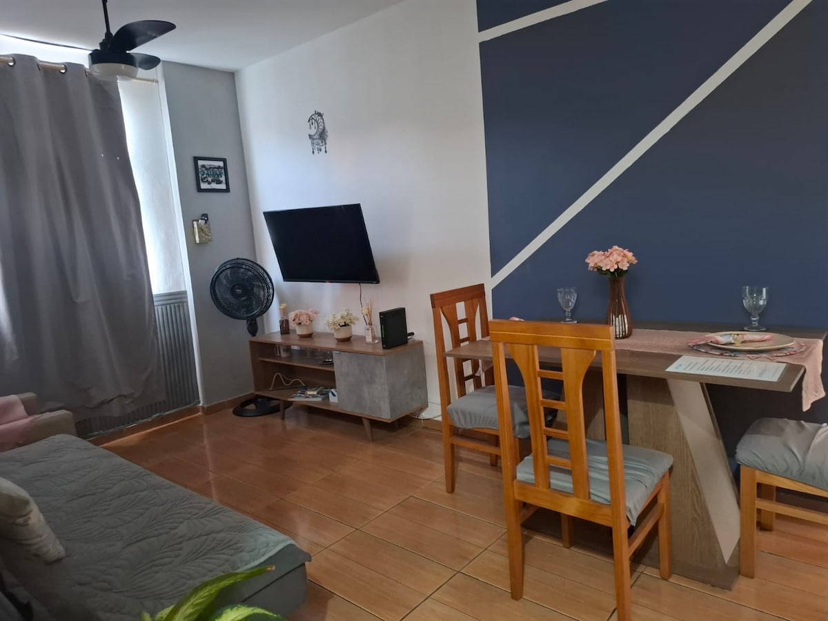 Successful Airbnb property: Full apartment in Vila Isabel with garage in Vila Isabel