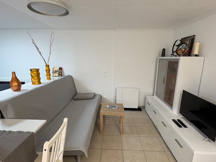Studio Village Avec Terrasse - Alsace