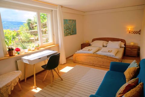 Sunny garden apartment, walking distance from the Goetheanum