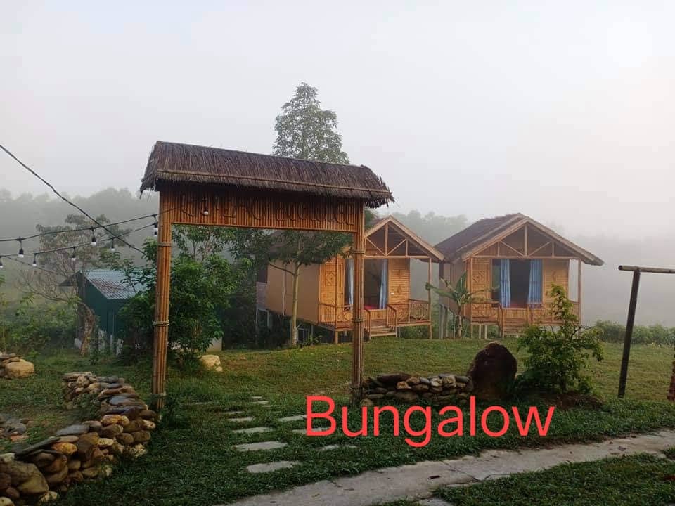 Two rustic bungalows are situated in a serene natural setting, surrounded by lush greenery. A wooden entrance archway leads toward the structures, which feature large windows framed in blue. A stone pathway meanders through the grassy area, enhancing the tranquil ambiance.