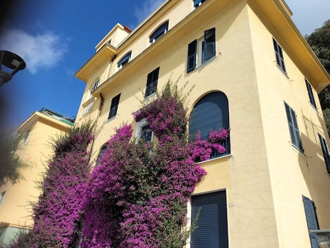 Bouganville House in the center - amazing sea view