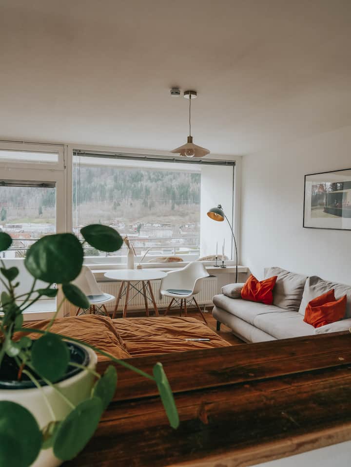 Kleines Penthouse Mit Bergblick - Allgäu