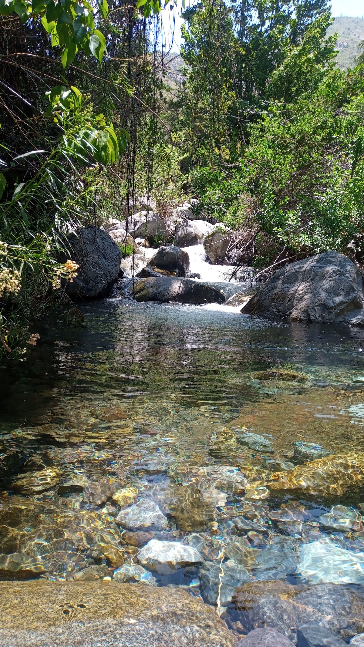 A clear, tranquil pool of water is framed by smooth rocks and lush greenery. Water gently flows over stones, creating a serene atmosphere. The sunlight reflects off the crystal-clear surface, showcasing colorful pebbles beneath the water.