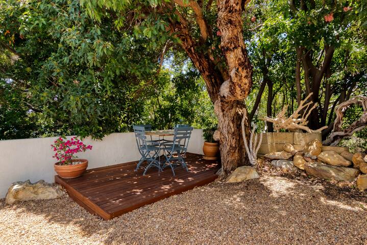 Whale Watchers Gordon’s Bay gallery image 5