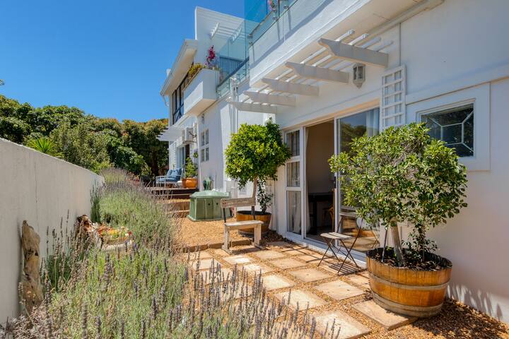 Whale Watchers Gordon’s Bay gallery image 2