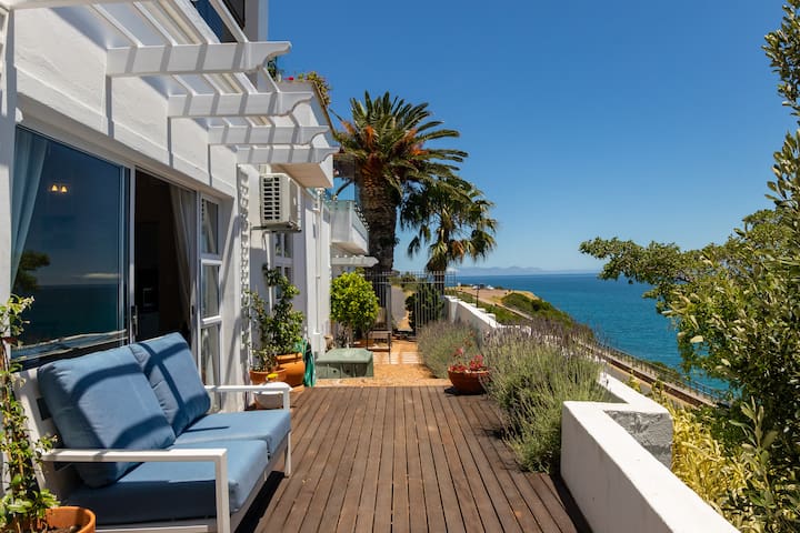 Whale Watchers Gordon’s Bay