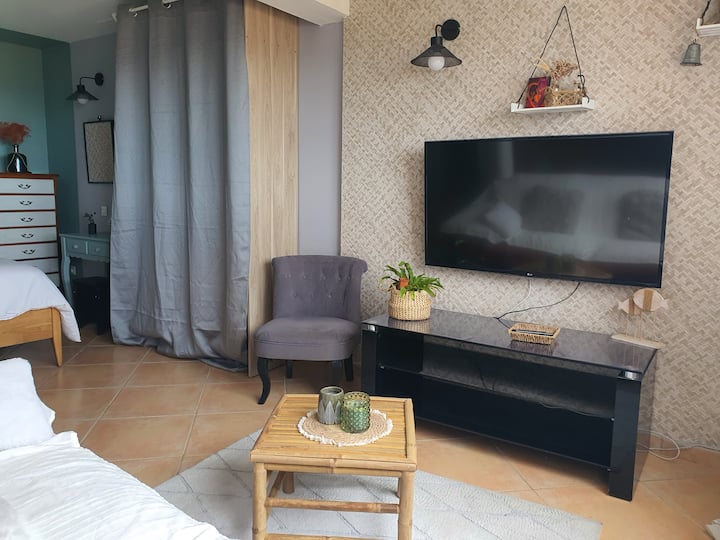 Les Oliviers : Studio Spacieux Face à La Mer, Clim - Port-Vendres