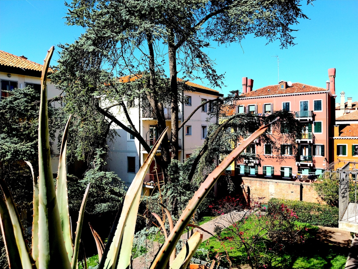 A view of a shared garden space is captured, showcasing vibrant greenery and a large tree. Surrounding buildings feature a mix of colorful facades and balconies. Clear blue skies create a bright and open atmosphere, enhancing the tranquil setting.
