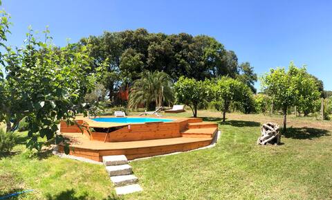 Caro and Bruno's Enclosure