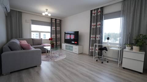 Elegant apt. Sauna, Free parking, Netflix, Aircon