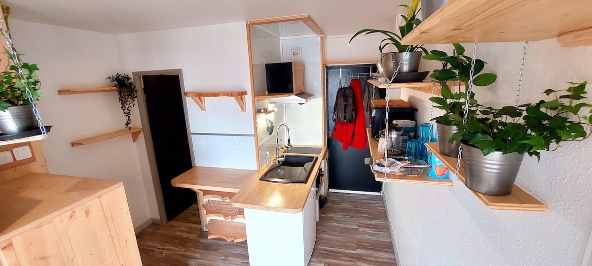 Top Airbnb: Studio - Balcony - Parking Saint-Agne train station and metro in Rangueil / Sauzelong / Jules Julien / Pech David / Pouvourville