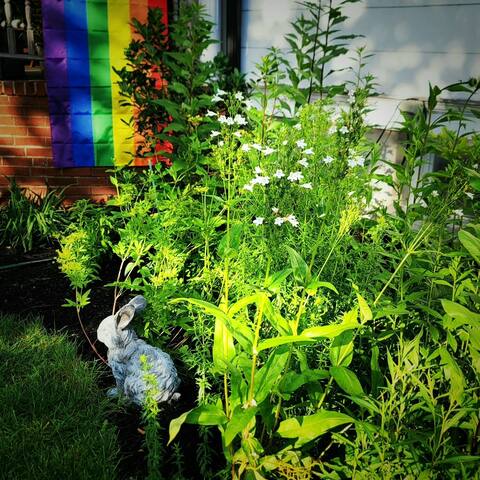 Women Hosted Plant Paradise 2BR | NYC + Airport gallery image 3