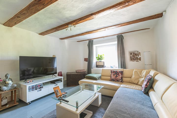 55" Samsung Smart TV mit Chromecast, Netflix, Sky und einer Playstation 4 plus.
Grosse Leder Couch, welches auch als Schlafplatz genutzt werden kann.