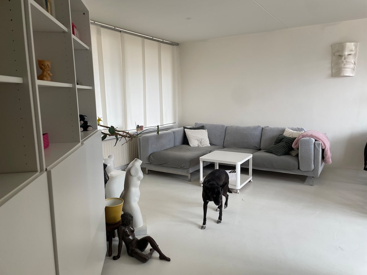 A spacious living area is presented with a light grey sofa facing two white coffee tables. Decorative sculptures are placed along the floor and on shelves, while sheer window coverings allow natural light to brighten the room. A dark-colored dog is seen walking across the floor.