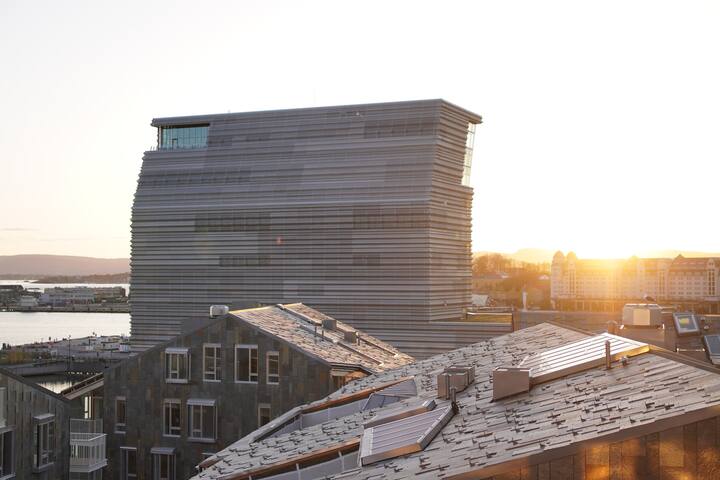 Spectacular 2 BR/2 bath apt. in the heart of Oslo gallery image 4