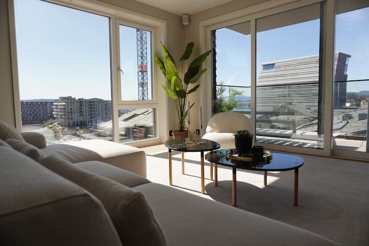 Spectacular 2 BR/2 bath apt. in the heart of Oslo