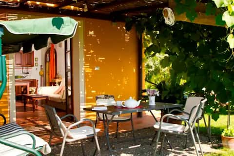 Cottages in olive grove