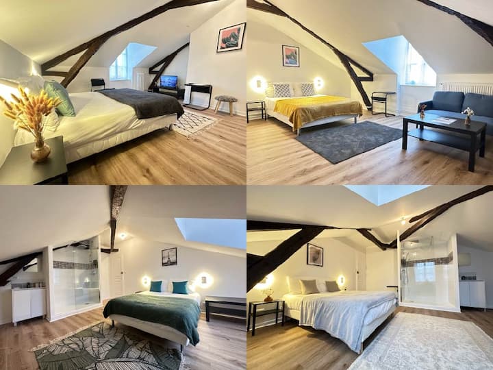 Appartement Avec 4 Chambres Et 4 Salles De Bain - Limoges