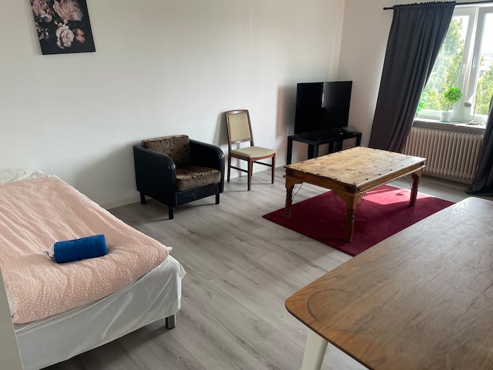 Nice Apartment For Company Groups Flexible Option - Malmö