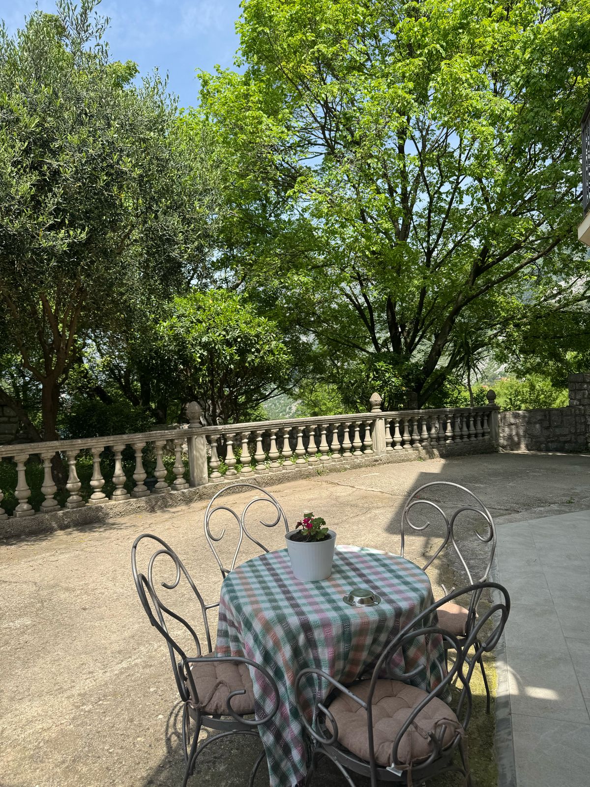 A charming outdoor terrace is showcased, featuring a round table with decorative plants at its center. Four wrought-iron chairs surround the table, positioned on a stone surface. Lush greenery, including olive trees and other foliage, frames the space, offering a serene and inviting atmosphere.