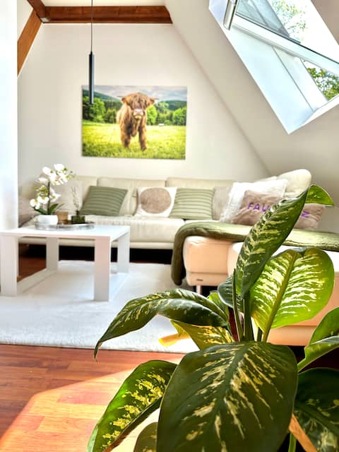 Beliebte Airbnb-Anzeige: 76m² of pure well-being | Sauna, Wellness & Garden in Meschede
