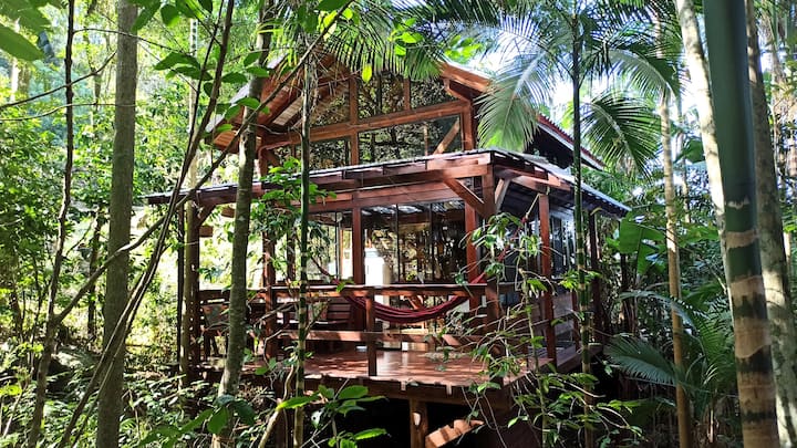 Casa Juçara Floripa |Hidden Treasure In The Jungle - Florianópolis