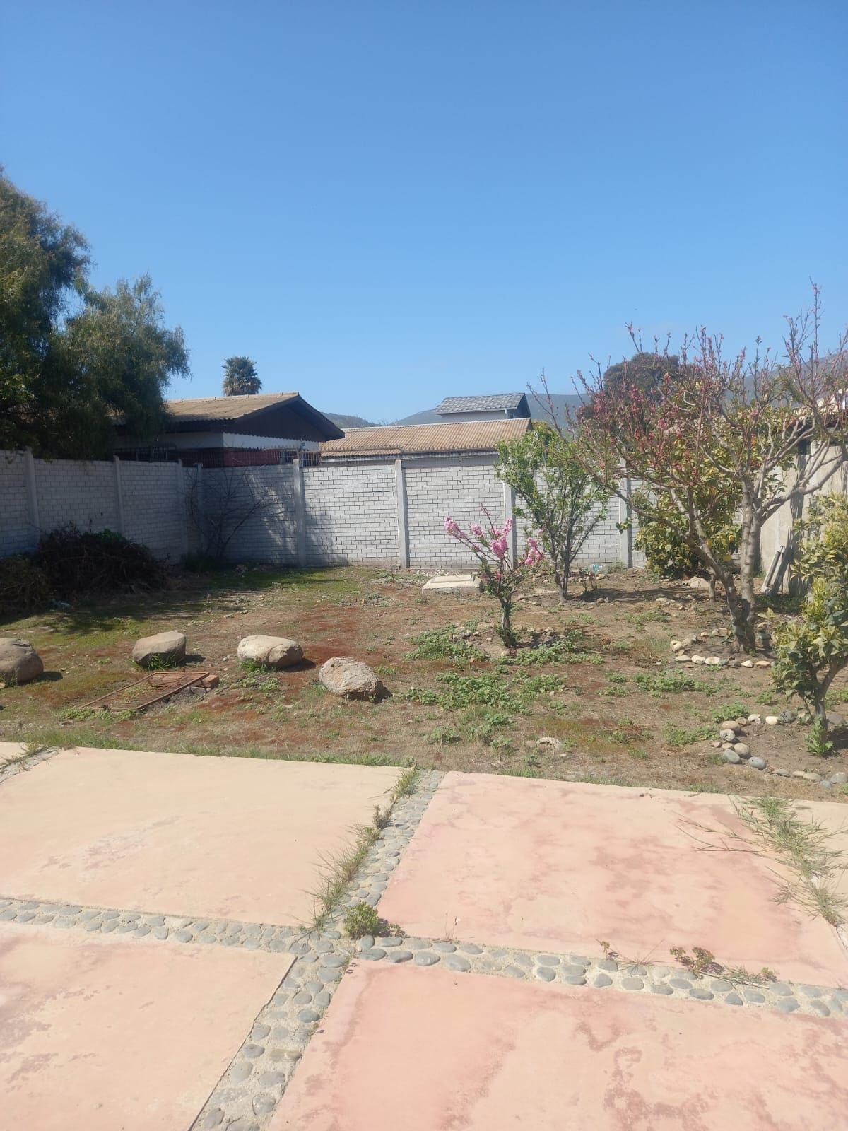 A spacious outdoor area is presented, featuring a garden with several small trees and shrubs. Smooth stone pathways lead through the yard, which has a mix of soil and grass. The background includes a low fence and neighboring structures under clear blue skies.