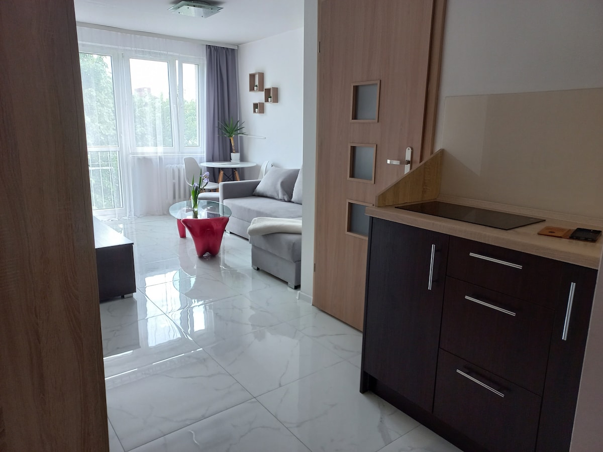 An open layout captures a modern living space with glossy tiled flooring. A cozy sofa and a coffee table are positioned near large windows, allowing natural light to flow in. A kitchen area with a sleek countertop and minimalistic cabinets is visible, inviting convenience.